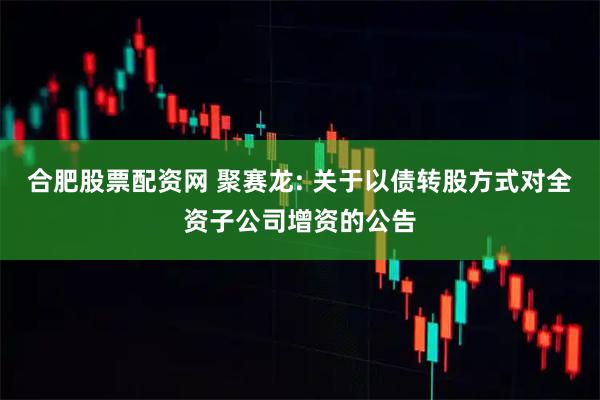 合肥股票配资网 聚赛龙: 关于以债转股方式对全资子公司增资的公告